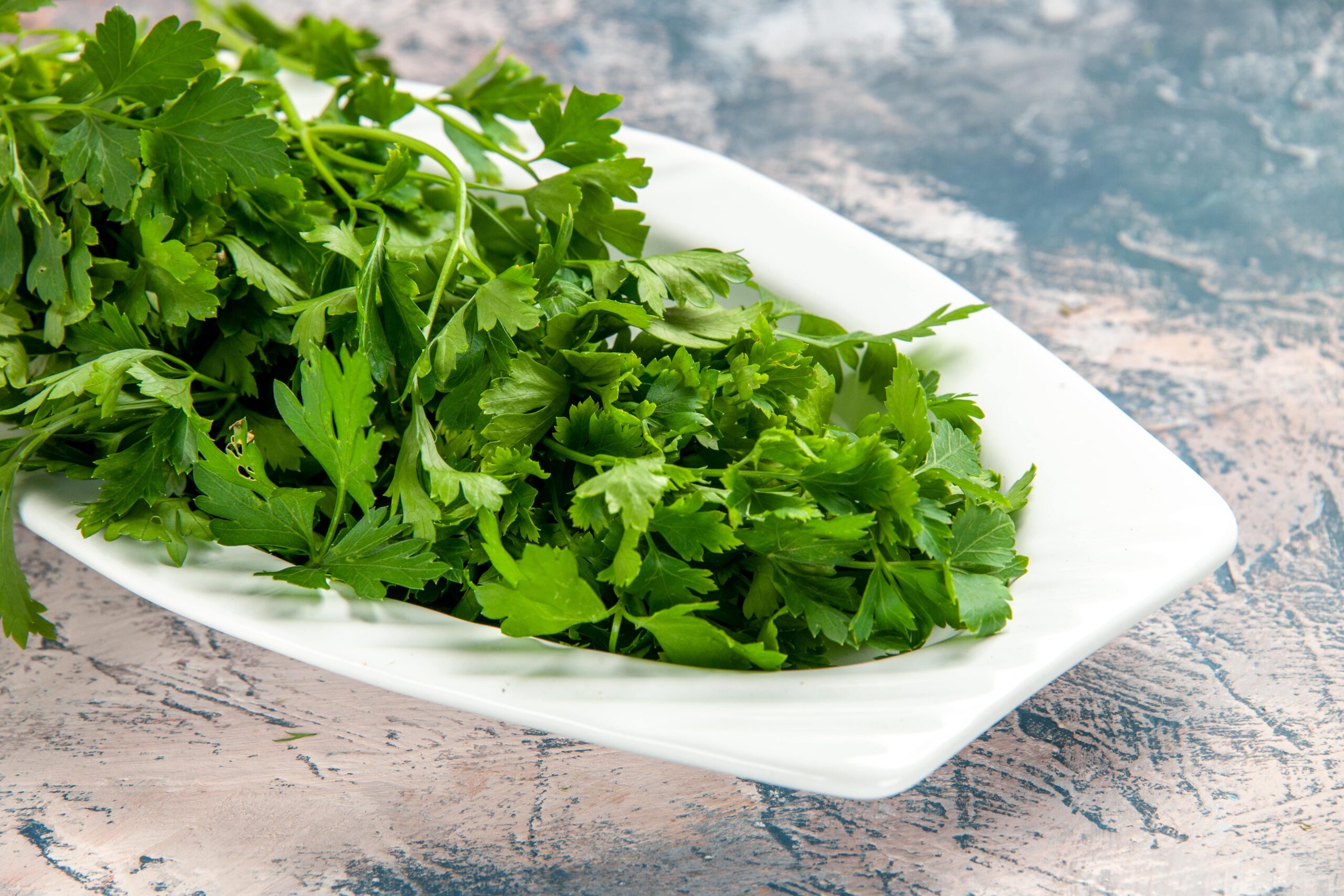 Pătrunjel proaspăt tocat fin pentru salata tabbouleh